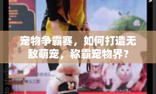 寵物爭(zhēng)霸賽，如何打造無(wú)敵萌寵，稱霸寵物界？