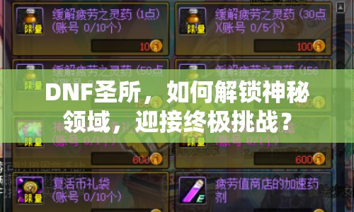 DNF圣所，如何解鎖神秘領域，迎接終極挑戰(zhàn)？