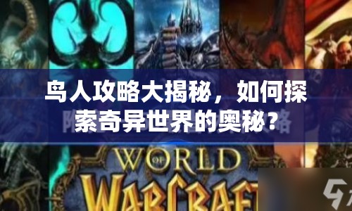 鳥人攻略大揭秘，如何探索奇異世界的奧秘？