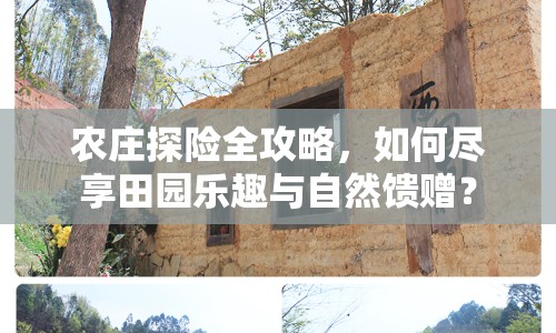 農(nóng)莊探險(xiǎn)全攻略，如何盡享田園樂(lè)趣與自然饋贈(zèng)？
