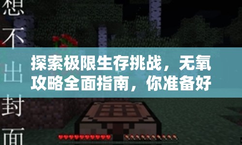 探索極限生存挑戰(zhàn)，無(wú)氧攻略全面指南，你準(zhǔn)備好了嗎？