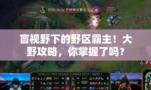 盲視野下的野區(qū)霸主！大野攻略，你掌握了嗎？