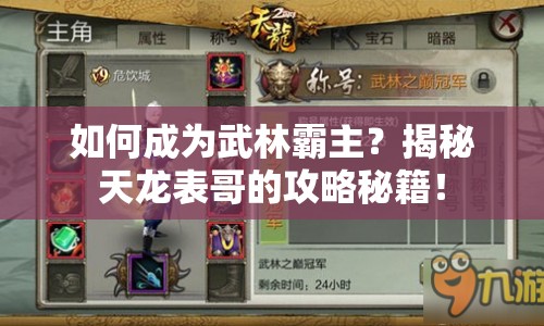 如何成為武林霸主？揭秘天龍表哥的攻略秘籍！