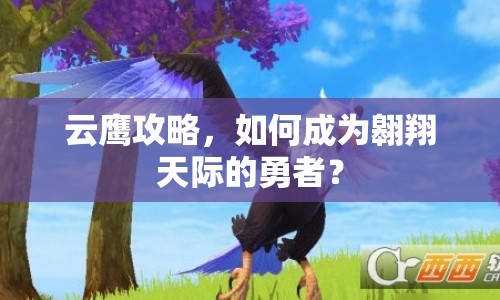 云鷹攻略，如何成為翱翔天際的勇者？