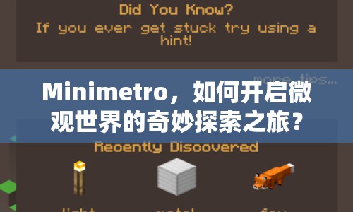 Minimetro，如何開啟微觀世界的奇妙探索之旅？