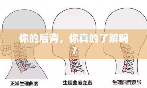 你的后背，你真的了解嗎？