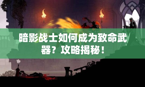 暗影戰(zhàn)士如何成為致命武器？攻略揭秘！