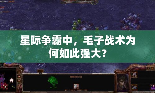 星際爭霸中，毛子戰(zhàn)術(shù)為何如此強(qiáng)大？