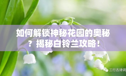 如何解鎖神秘花園的奧秘？揭秘白鈴蘭攻略！