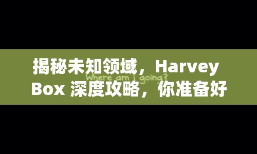 揭秘未知領(lǐng)域，Harvey Box 深度攻略，你準(zhǔn)備好了嗎？