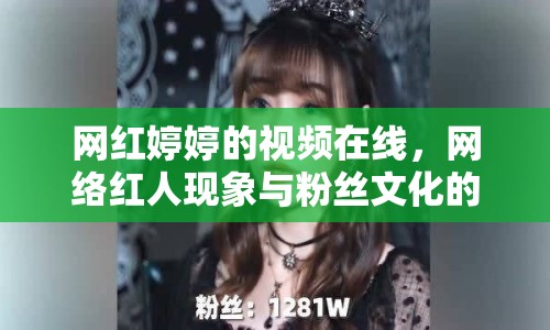 網(wǎng)紅婷婷的視頻在線，網(wǎng)絡(luò)紅人現(xiàn)象與粉絲文化的探討