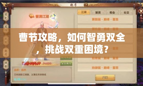 曹節(jié)攻略，如何智勇雙全，挑戰(zhàn)雙重困境？
