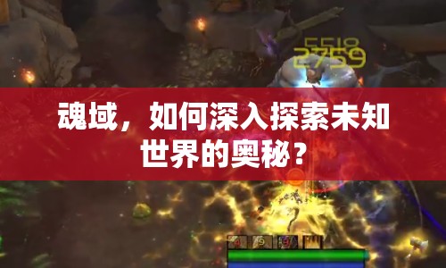 魂域，如何深入探索未知世界的奧秘？