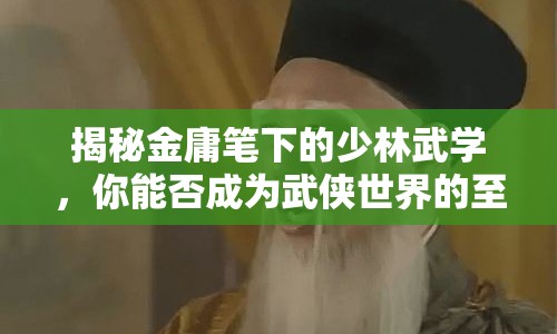揭秘金庸筆下的少林武學(xué)，你能否成為武俠世界的至高強(qiáng)者？
