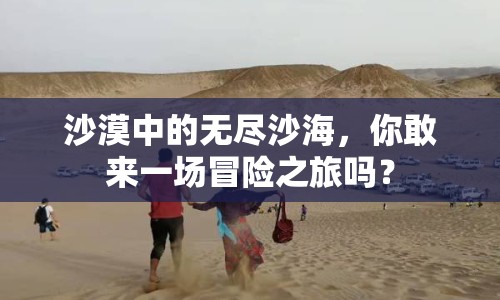 沙漠中的無(wú)盡沙海，你敢來(lái)一場(chǎng)冒險(xiǎn)之旅嗎？