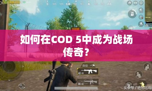 如何在COD 5中成為戰(zhàn)場(chǎng)傳奇？
