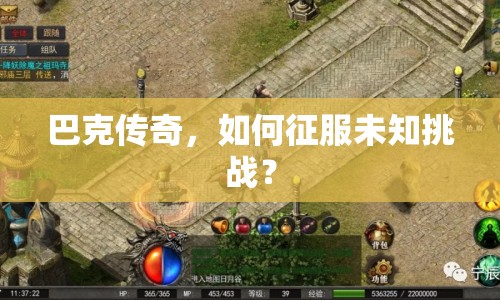 巴克傳奇，如何征服未知挑戰(zhàn)？