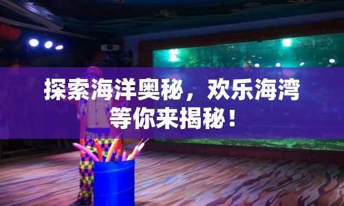 探索海洋奧秘，歡樂海灣等你來揭秘！
