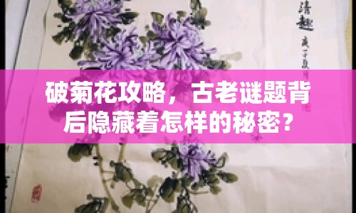 破菊花攻略，古老謎題背后隱藏著怎樣的秘密？