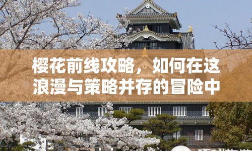 櫻花前線攻略，如何在這浪漫與策略并存的冒險中綻放？