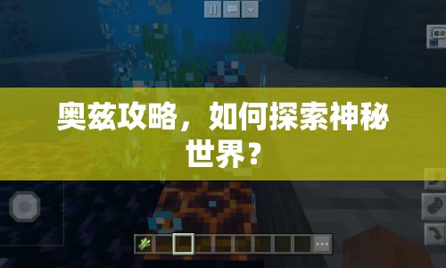 奧茲攻略，如何探索神秘世界？