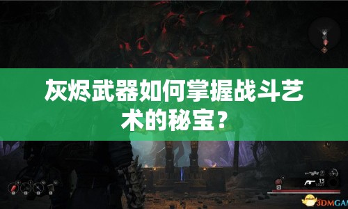 灰燼武器如何掌握戰(zhàn)斗藝術(shù)的秘寶？