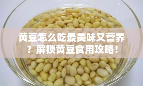 黃豆怎么吃最美味又營(yíng)養(yǎng)？解鎖黃豆食用攻略！