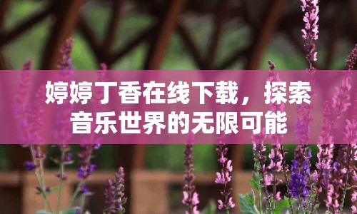 婷婷丁香在線下載，探索音樂世界的無限可能