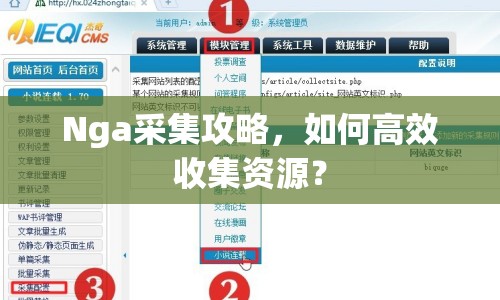 Nga采集攻略，如何高效收集資源？