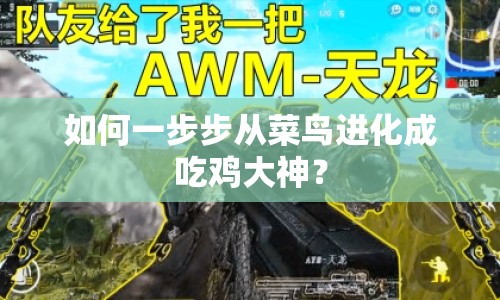 如何一步步從菜鳥進化成吃雞大神？