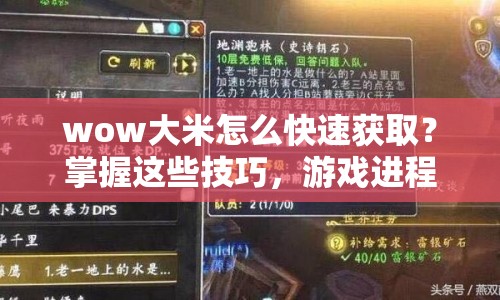 wow大米怎么快速獲??？掌握這些技巧，游戲進(jìn)程飛起來！