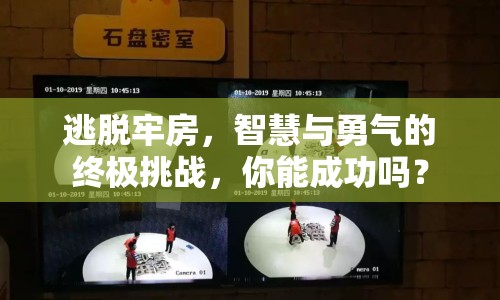 逃脫牢房，智慧與勇氣的終極挑戰(zhàn)，你能成功嗎？