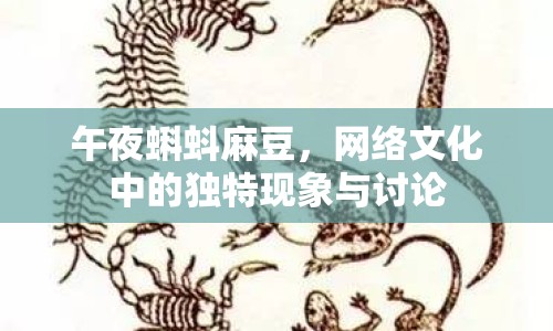 午夜蝌蚪麻豆，網(wǎng)絡(luò)文化中的獨(dú)特現(xiàn)象與討論