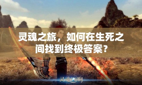 靈魂之旅，如何在生死之間找到終極答案？