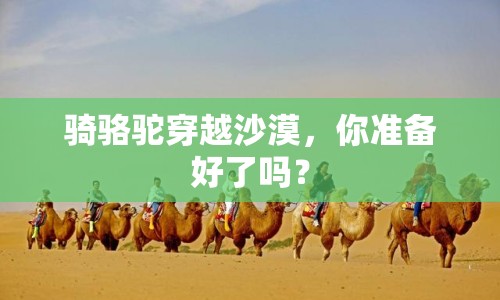 騎駱駝穿越沙漠，你準(zhǔn)備好了嗎？