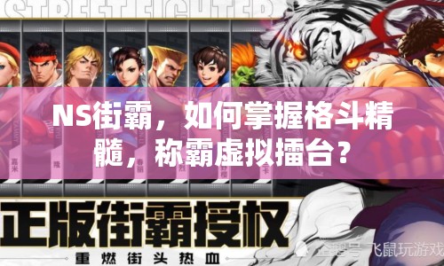 NS街霸，如何掌握格斗精髓，稱霸虛擬擂臺？
