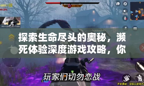 探索生命盡頭的奧秘，瀕死體驗(yàn)深度游戲攻略，你準(zhǔn)備好了嗎？