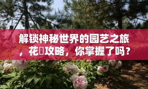 解鎖神秘世界的園藝之旅，花朧攻略，你掌握了嗎？