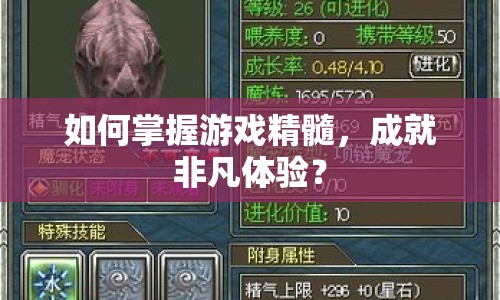 如何掌握游戲精髓，成就非凡體驗？