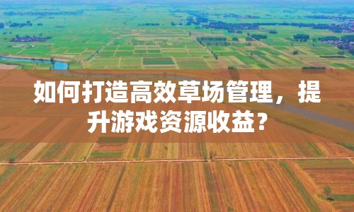 如何打造高效草場管理，提升游戲資源收益？