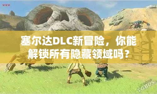 塞爾達(dá)DLC新冒險(xiǎn)，你能解鎖所有隱藏領(lǐng)域嗎？