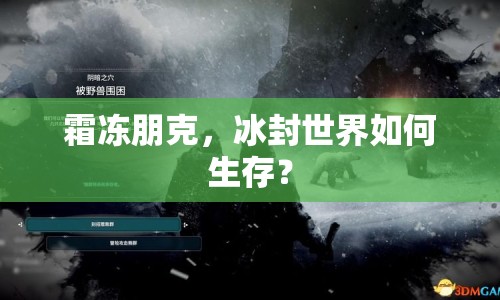 霜凍朋克，冰封世界如何生存？