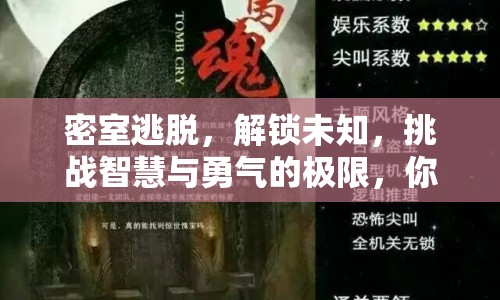 密室逃脫，解鎖未知，挑戰(zhàn)智慧與勇氣的極限，你準(zhǔn)備好了嗎？