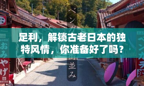 足利，解鎖古老日本的獨(dú)特風(fēng)情，你準(zhǔn)備好了嗎？