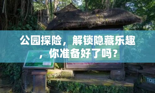 公園探險(xiǎn)，解鎖隱藏樂趣，你準(zhǔn)備好了嗎？