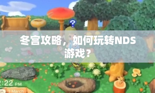 冬宮攻略，如何玩轉(zhuǎn)NDS游戲？