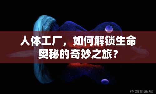 人體工廠，如何解鎖生命奧秘的奇妙之旅？