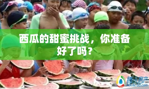 西瓜的甜蜜挑戰(zhàn)，你準(zhǔn)備好了嗎？