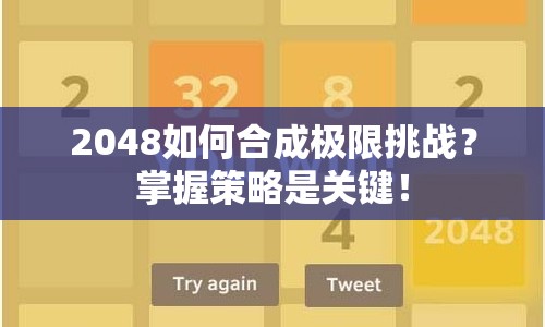 2048如何合成極限挑戰(zhàn)？掌握策略是關(guān)鍵！