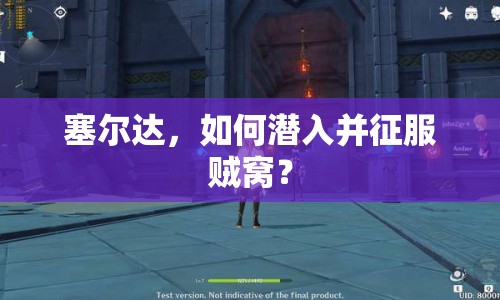 塞爾達(dá)，如何潛入并征服賊窩？